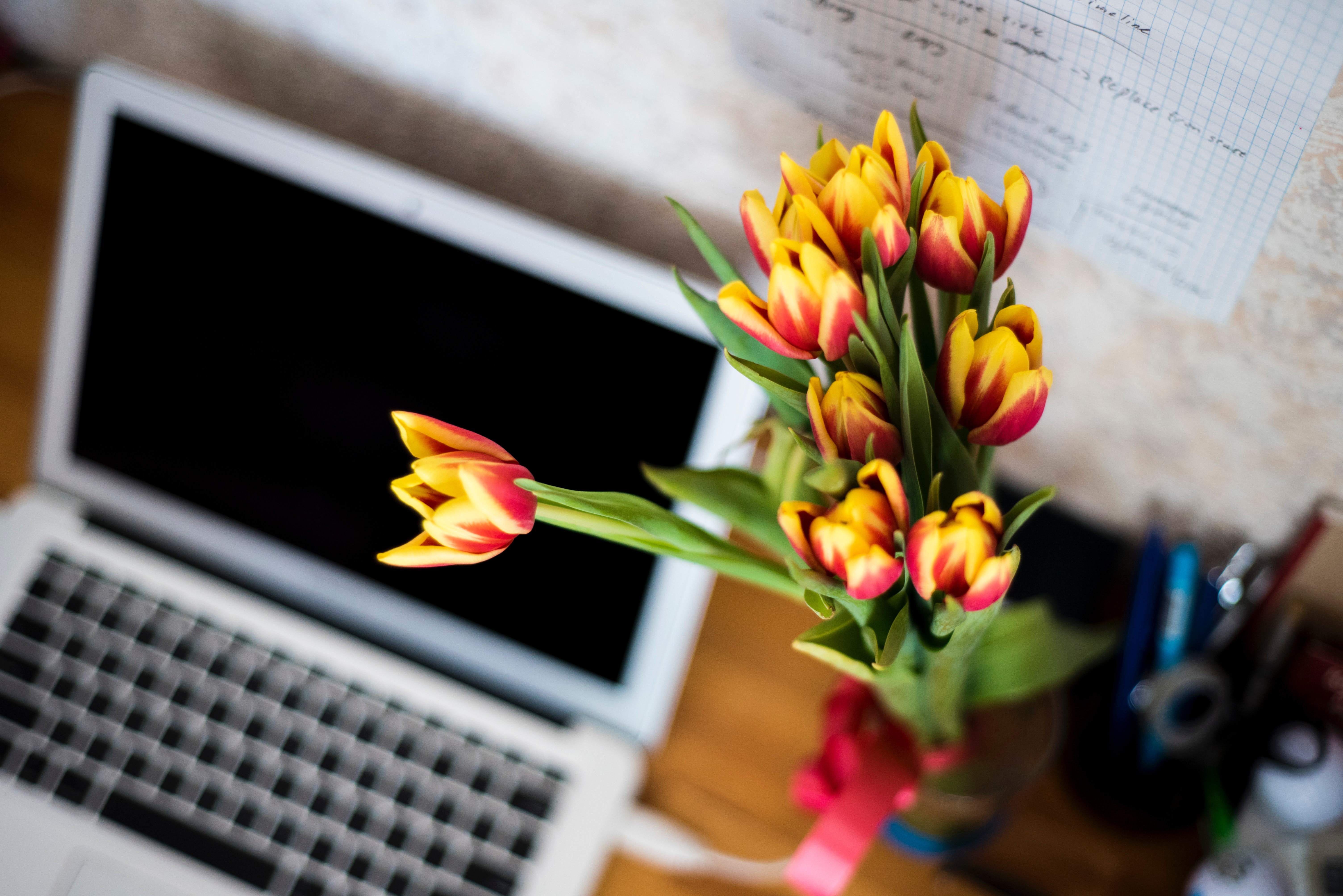 laptop and red and yellow tulips