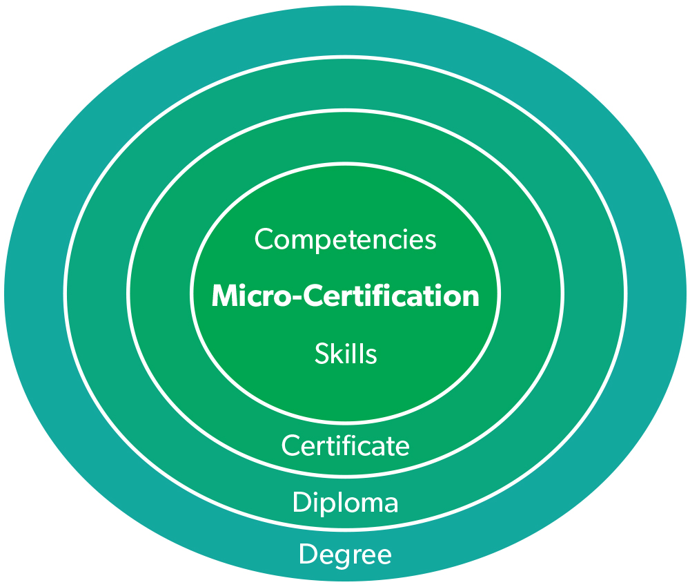 micro certification fit