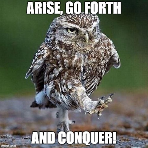 Go forth and conquer poster with marching owl.