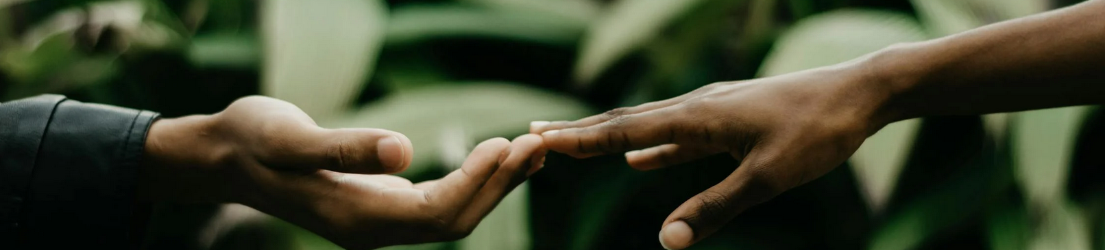 two hands holding and touching each other to show empathy and connection